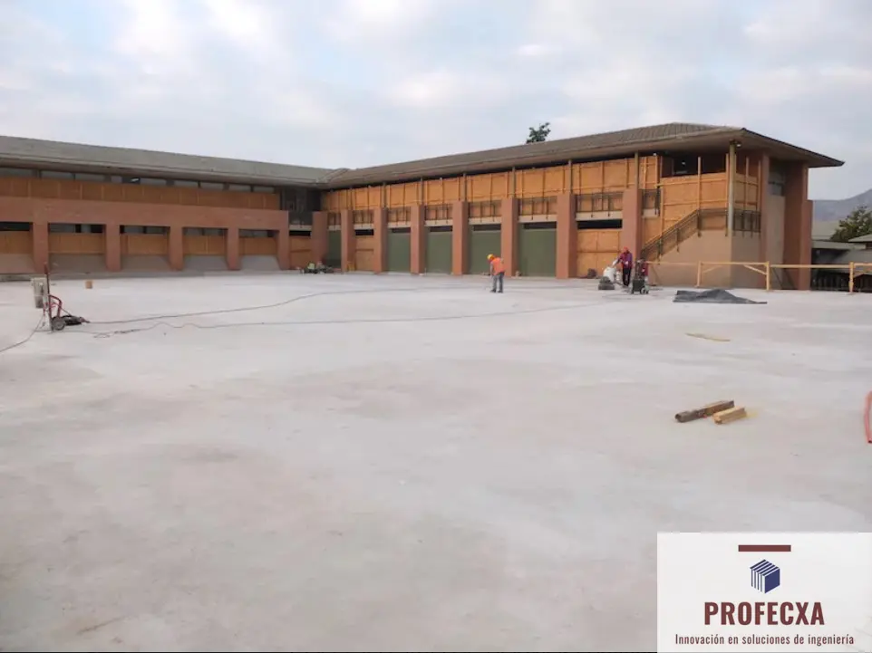 Colegio